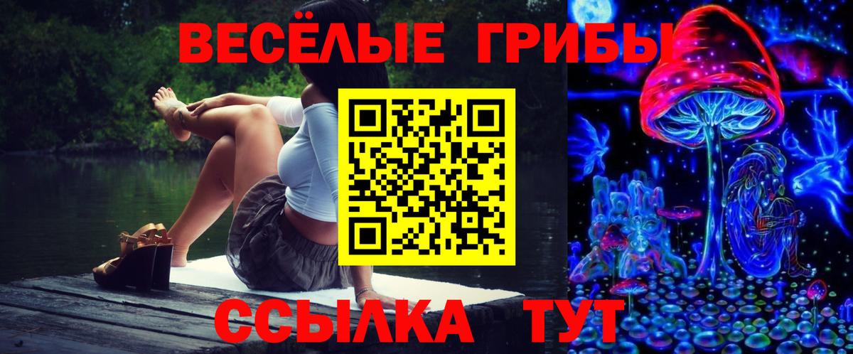 Псилоцибиновые грибы MAGIC MUSHROOMS  Псилоцибиновые грибы GOLDEN TEACHER  Отрадный  Вход с VPN 